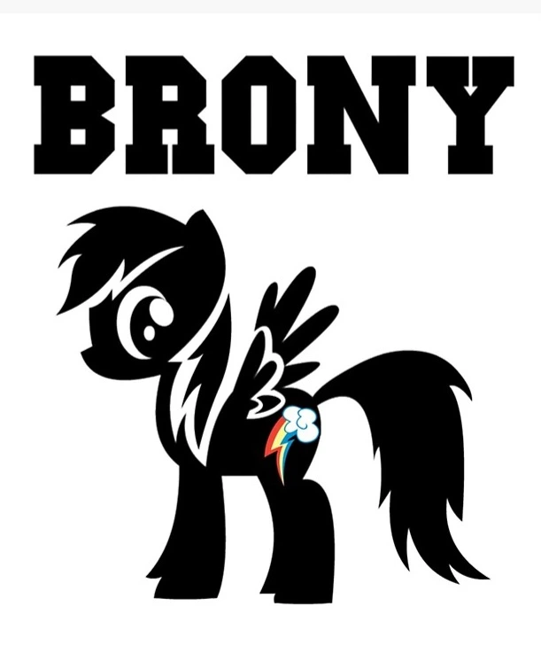 МОЯ ФУТБОЛКА З ПРИНТОМ РЕЙНБОУ ДЕШ І НАПИСОМ BRONY