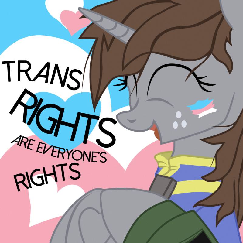 Полка Княсефа